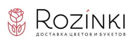 Rozinki
